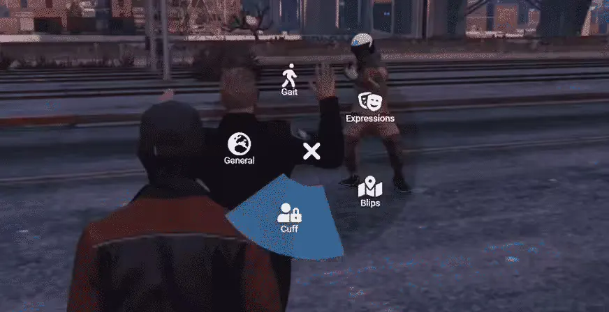 NoPixel Menu Script